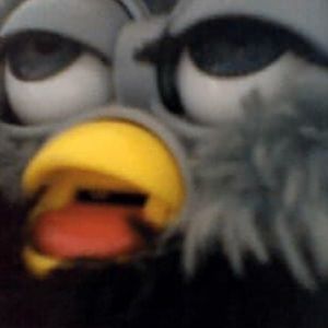 Meet your Posher, Mia